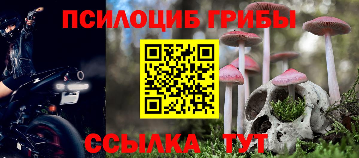 Псилоцибиновые грибы ЛСД  Вход с VPN  Псилоцибиновые грибы мухоморы  Кингисепп 